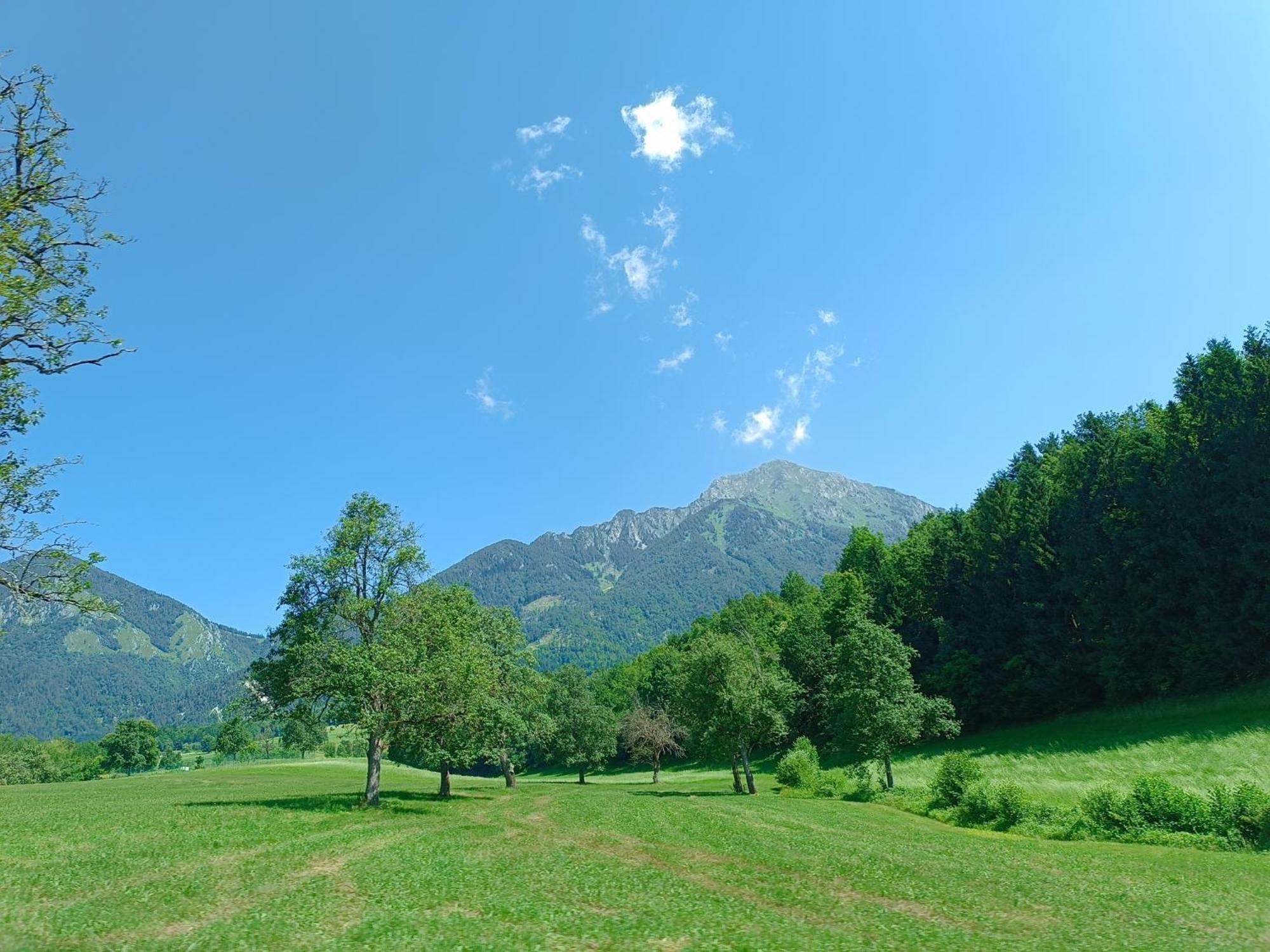 Kralj Matjaz - The Green Escape Under Alps Golnik Extérieur photo